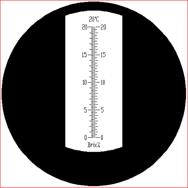 Euromex Réfractomètre RF.6520