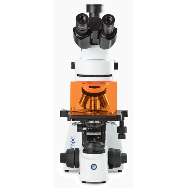 Euromex Microscope BS.3153-PLFi, trino, 40x-1000x