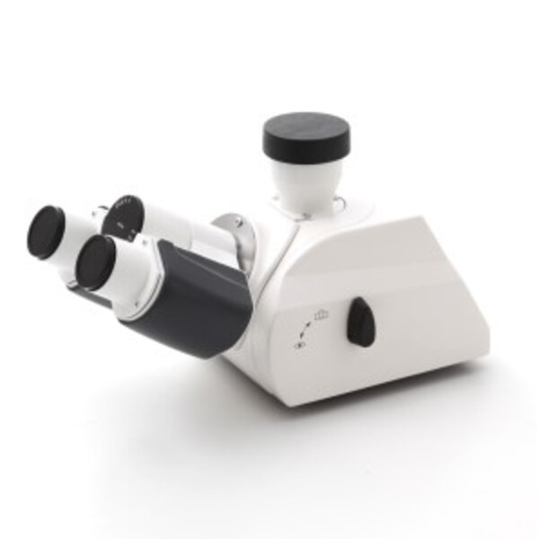 ZEISS Tube photographique ergonomique binoculaire 5-30°/23 (100:0/0:100), image droite