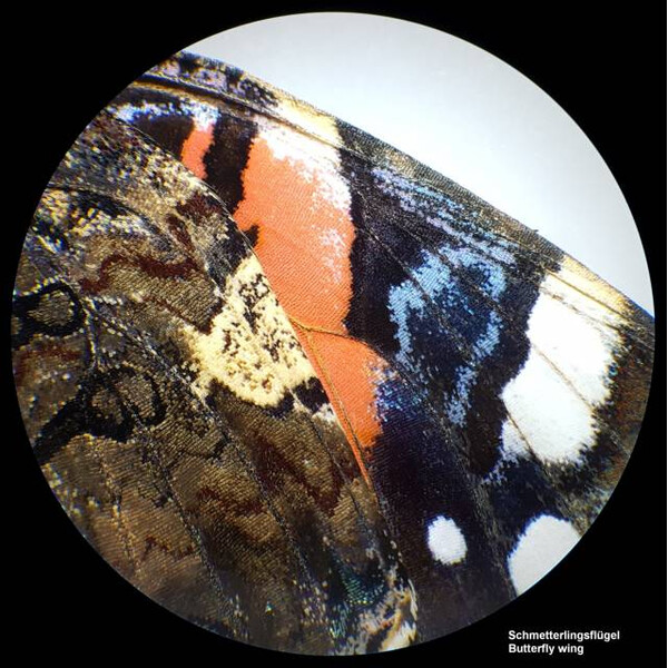 Microscope stéréoscopique Bresser Analyth STR 10x-40x bino ; Greenough ; 50 mm ; 10x/20 ; 10-40x ; LED, caméra, 2 MP