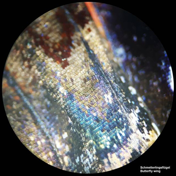 Microscope stéréoscopique Bresser Analyth STR 10x-40x bino ; Greenough ; 50 mm ; 10x/20 ; 10-40x ; LED, caméra, 2 MP