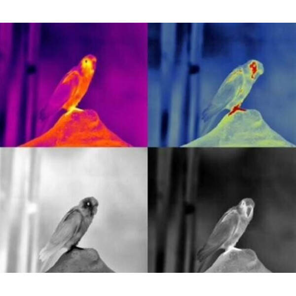 Caméra à imagerie thermique Guide TD421