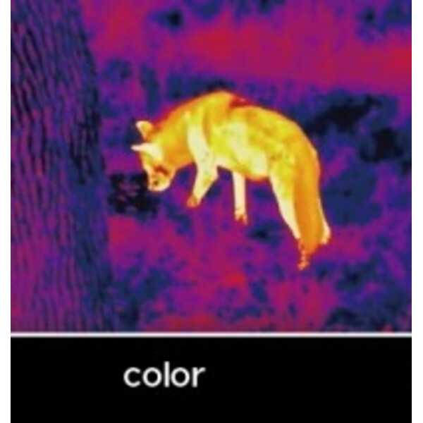 Caméra à imagerie thermique InfiRay Unique UH50