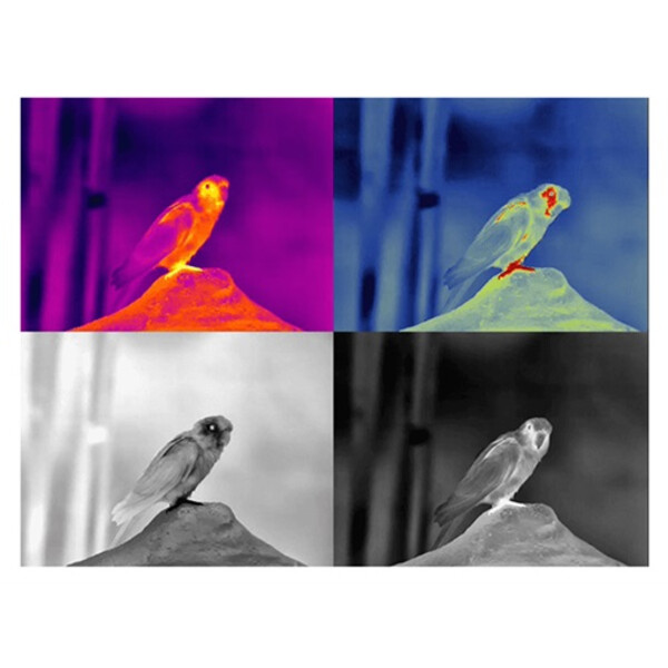 Guide Caméra à imagerie thermique TN430