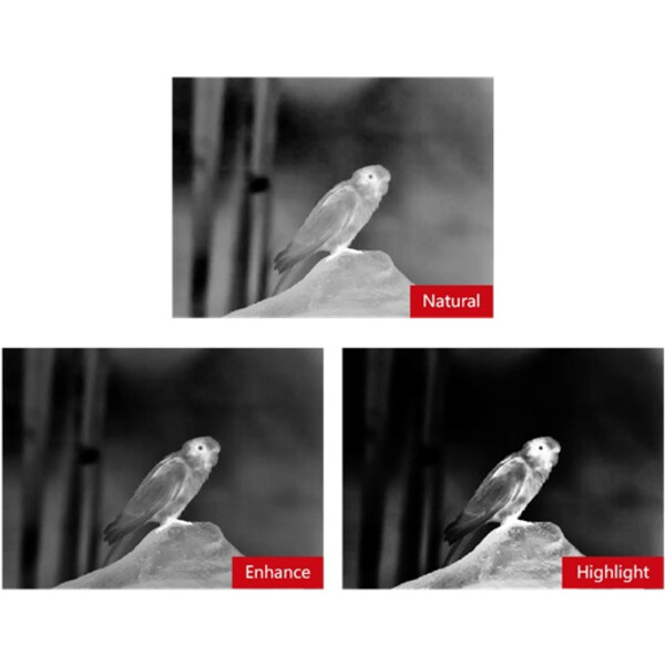 Guide Caméra à imagerie thermique TN430