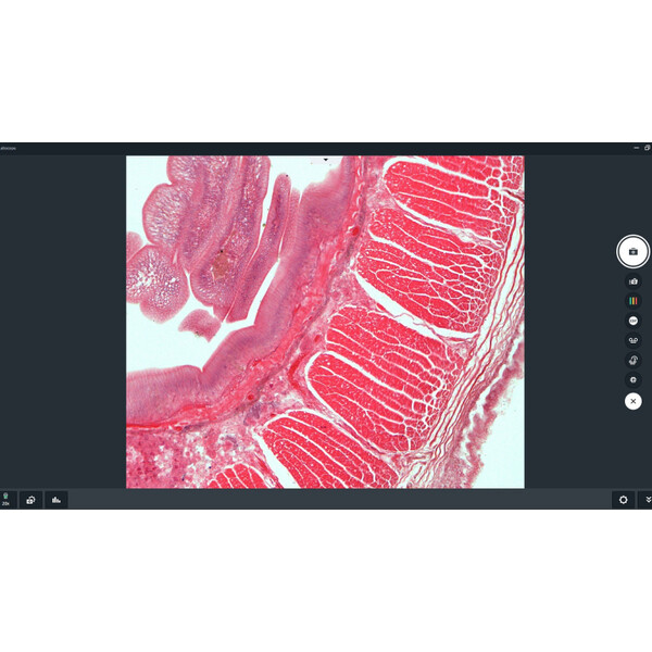 ZEISS Logiciels Module Labscope AI Cell Counting Chamber DLic