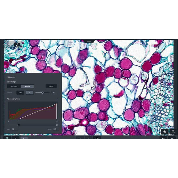ZEISS Logiciels Module Labscope AI Cell Counting Chamber DLic