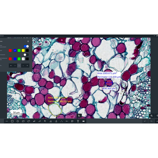 ZEISS Logiciels Module Labscope AI Cell Counting Chamber DLic