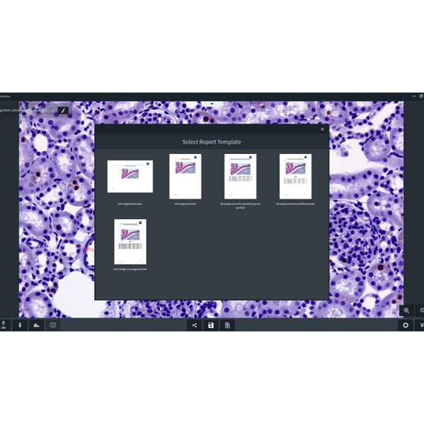ZEISS Logiciels Module Labscope AI Cell Counting Chamber DLic
