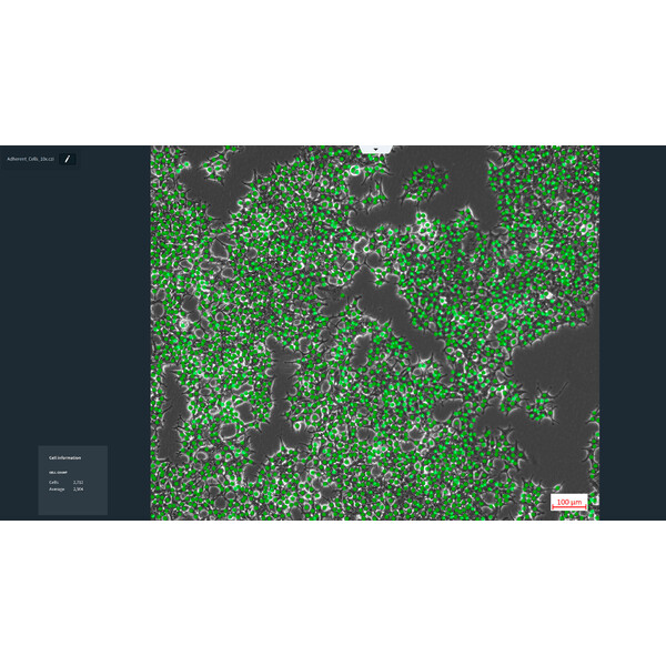 ZEISS Logiciels Module Labscope AI Cell Counting DLic