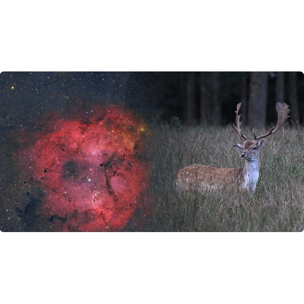 Lunette apochromatique ToupTek HOPE D60 60/280 f/4.66