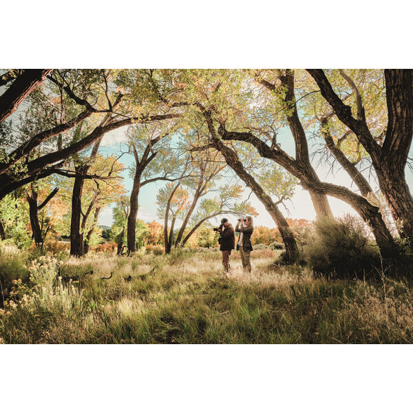 Longue-vue Swarovski AT Balance 18-45x65