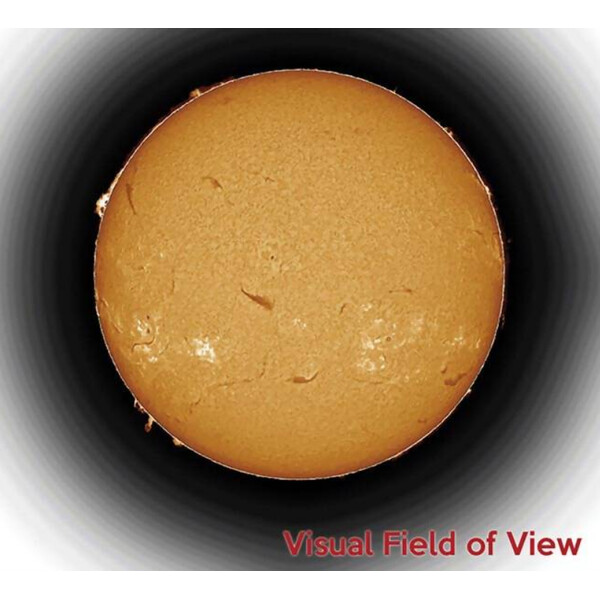 Télescope solaire DayStar ST 100/1690 Sol 100