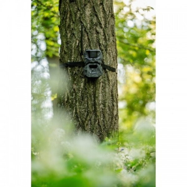 Appareil-photo spécial gibier HIKMICRO T16