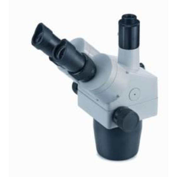 Microscope stéréo modulaire Novex Tête zoom RZT, trinoculaire