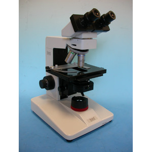Microscope Hund H 600 Wilozyt Plan, bino, ph, 100x, - 1000x