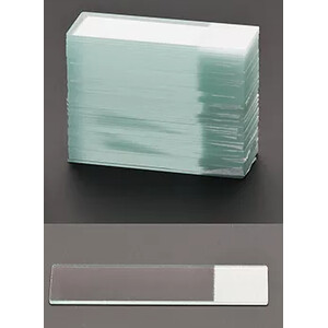 Windaus Lames porte-objets avec champ d'inscription, lot de 50.