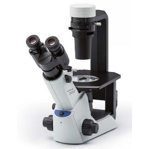 Microscope inversé Evident Olympus Olympus CKX53 Hellfeld V1, trino, 40x, 100x,
