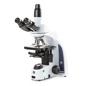 Microscope Euromex iScope IS.1153-PLPH, HF, PH, trino, DIN, plan, 100x-1000x, LED, 3W