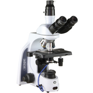 Microscope Euromex iScope IS.1153-PLi/DF, trino, HF, DF, infinity, plan, 40-1000x, LED