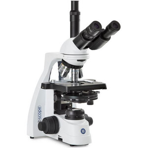 Microscope Euromex BS.1153-PLPHi, trino, PH, plan, infinity, 40x-1000x, 10x/20, Akku, LED, 3W