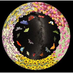 astrial Diapositive pour le Planetarium Homestar de Sega Fleurs et papillons