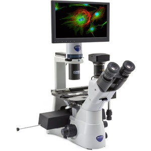Microscope inversé Optika IM-3LD4D, 6MP, écran 12", trino, IOS U-PLAN F, LED-FLUO, LWD, 400x, 4 emplacements de filtre vides