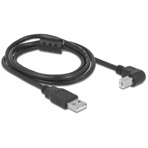 PegasusAstro Kit de câbles USB 2x USB2.0 Type-B 1m