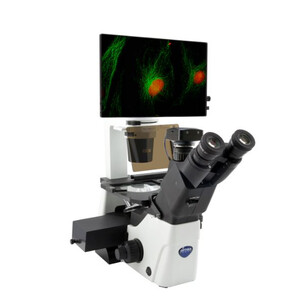 IM-300LD4D Microscope numérique inversé à fluorescence LED, 400x, IOS LWD PLAN F, 4 emplacements pour filtres vides