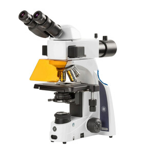 Microscope Euromex iScope IS.3152-PLi/TB, bino, HF, FL, INFINITY, plan, 40x-1000x, 10x/22 mm, iCare, 3 W, LED