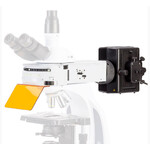 Microscope optique - B+ series - Euromex - pour la recherche / droit /  binoculaire