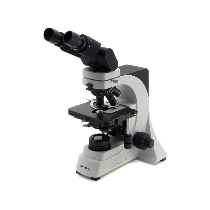 Optika Microscope binoculaire, ERGO Kopf, Plan Objektive B-500 ERGO