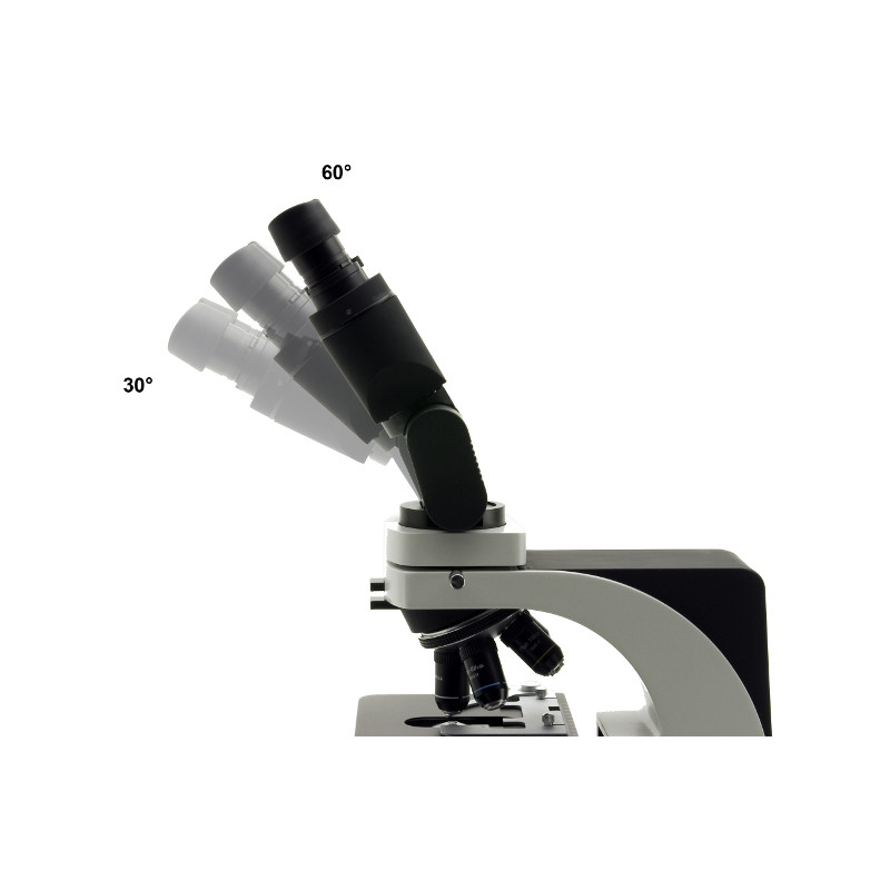 Optika Microscope binoculaire, ERGO Kopf, Plan Objektive B-500 ERGO
