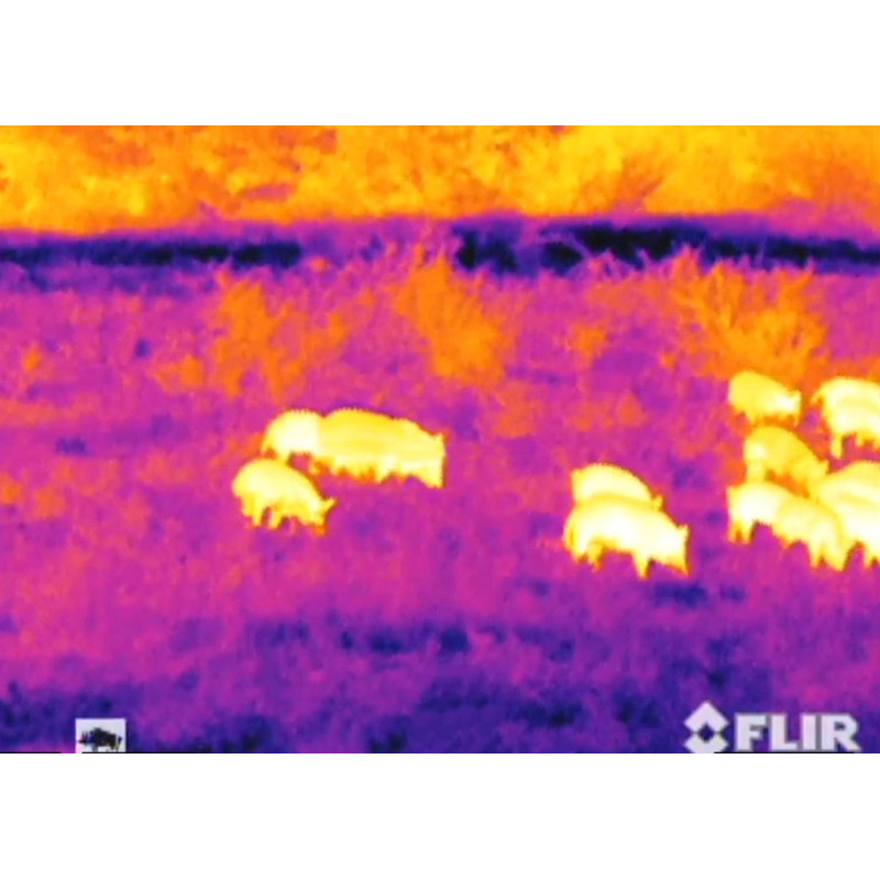 Caméra à imagerie thermique Armasight Helios 336 HD 30 Hz 8-32x100