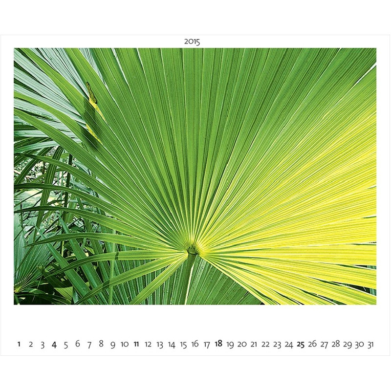 Palazzi Verlag Kalender Landschaft im Licht 2015