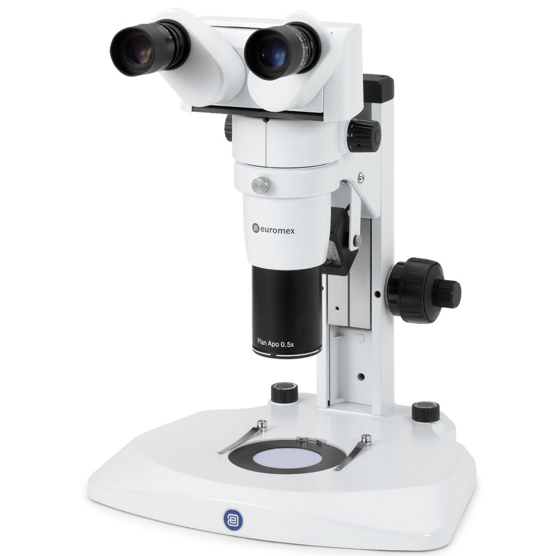 Euromex Microscope stéréoscopiqueavec DZ.1100, tête binoculaire ergonomique, 8-80 fois, LED