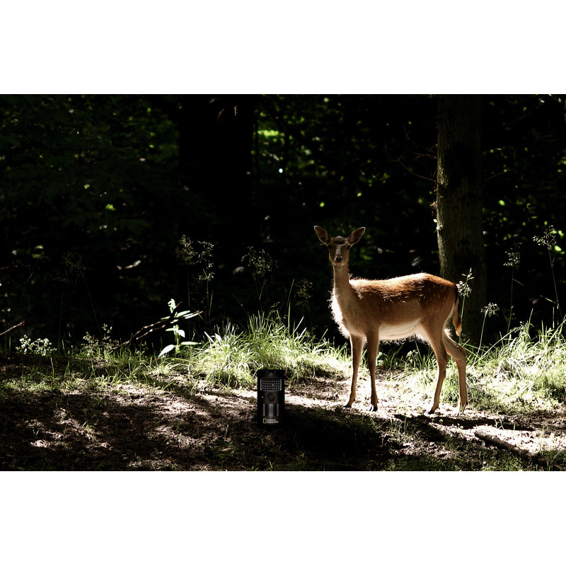 Appareil-photo spécial gibier National Geographic Beobachtungskamera