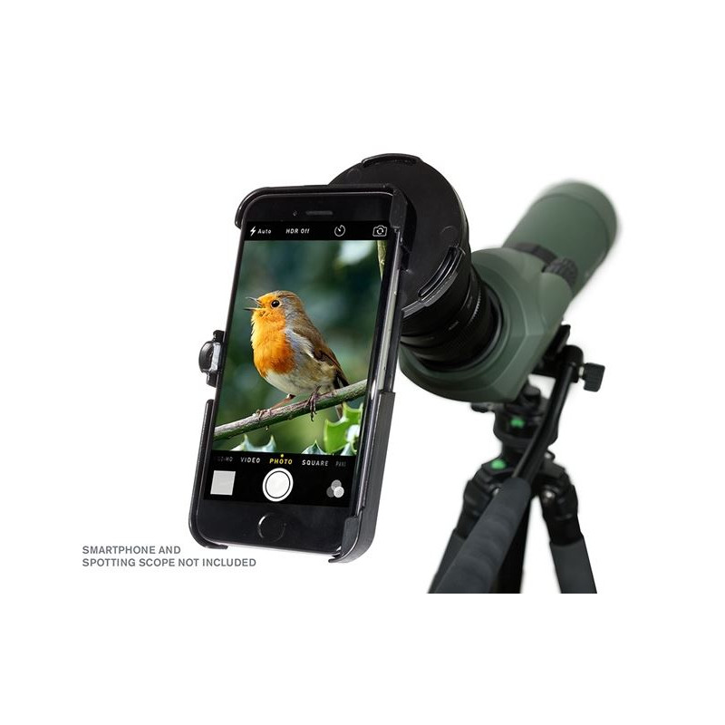 Celestron Adaptateur smartphone Regal pour iPhone 6+