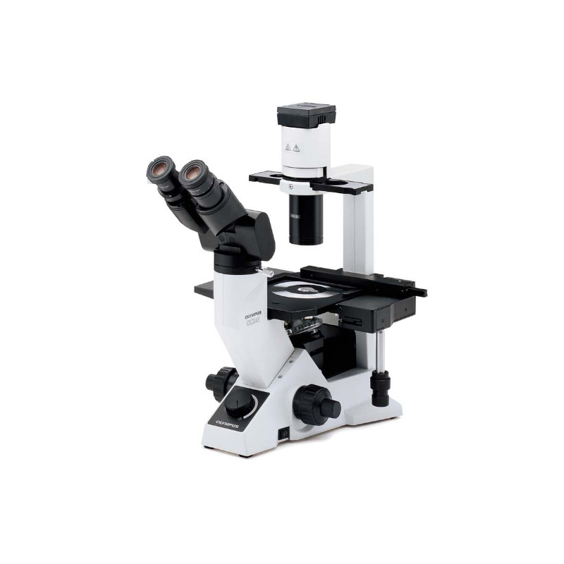 Microscope Olympus CKX41, bino, ergo, Hal, 40x, 100x, 200x, 400x