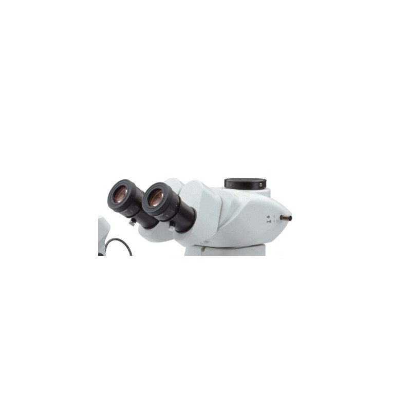 Microscope stéréo zoom Evident Olympus SZX7, trino, 0.8x-5.6x, à lumière transmise