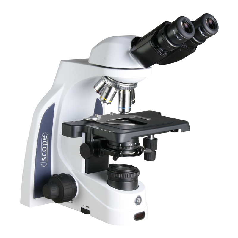 Microscope Euromex iScope IS.1152-EPLi, bino, infinity, e-plan, 40x-1000x, iCare, LED