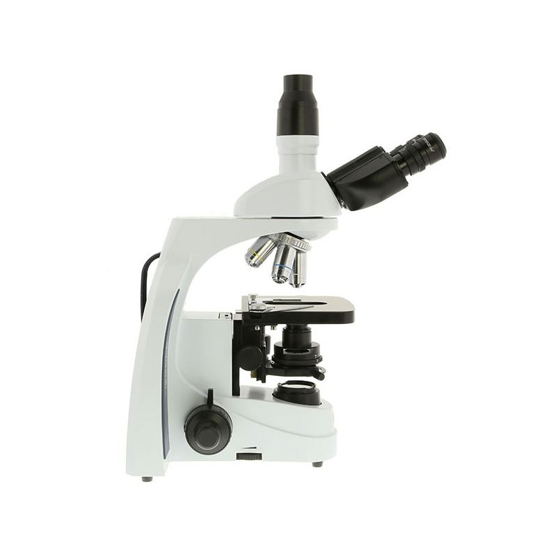 Microscope Euromex iScope IS.1153-PLPH, PH, trino, DIN, plan, 100x-1000x, LED, 3W