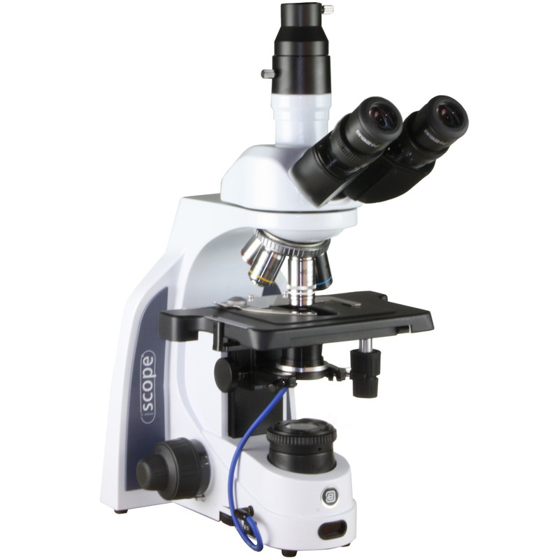 Microscope Euromex iScope IS.1153-PLi/DFI, DF, trino, infinity, plan, 4x-100x, 100x iris, IOS super contrast oil, spring, LED, 3W