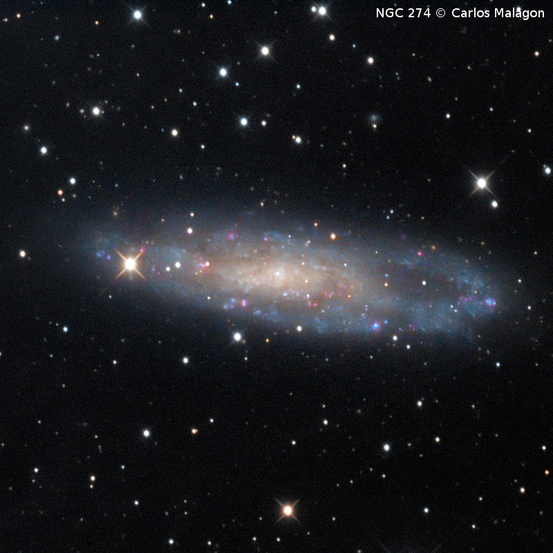 Omegon Télescope RC 154/1370 EQ570DX