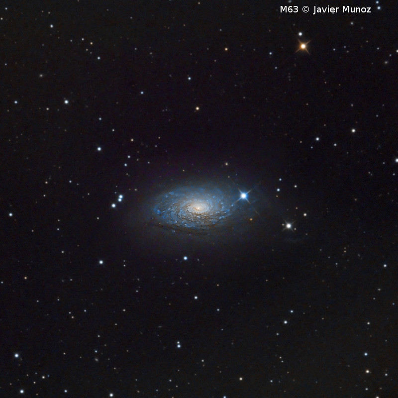 Omegon Télescope RC 154/1370 EQ570DX