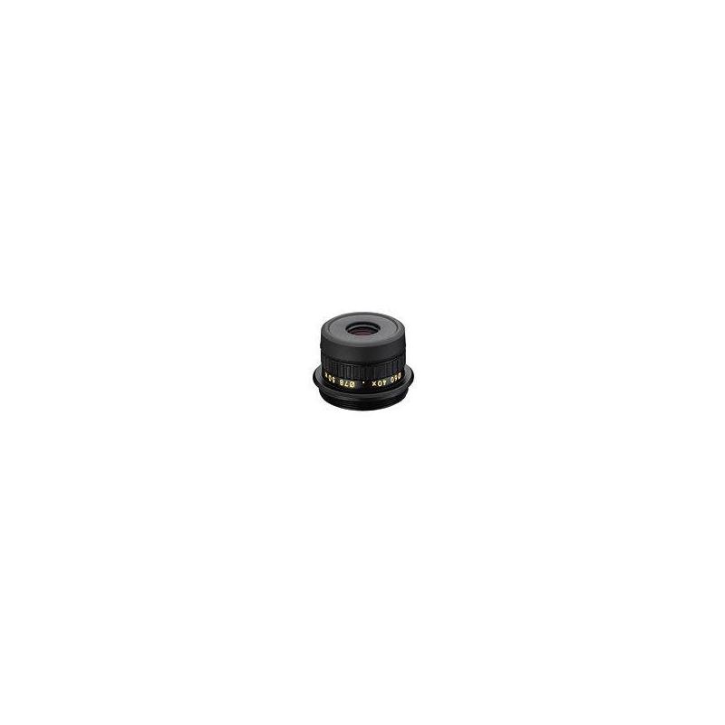 Nikon 27x/40x/50x MC oculaires
