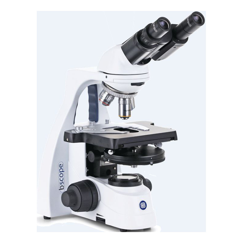 Microscope Euromex BS.1152-EPLPH, bino, 40x-1000x
