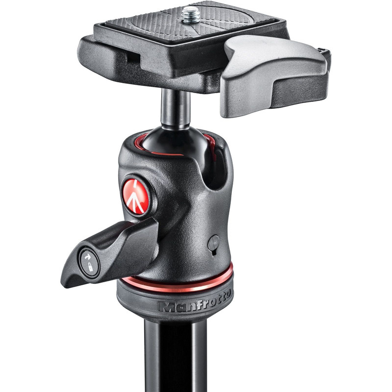 Trépied en carbone Manfrotto MKBFRC4-BH Befree avec rotule