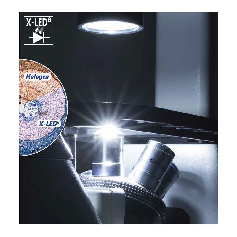 Optika Microscope IM-3FL4-EUIV, trino, invers, FL-HBO, Filtre B&G, IOS LWD U-PLAN F, 100x-400x, EU, IVD
