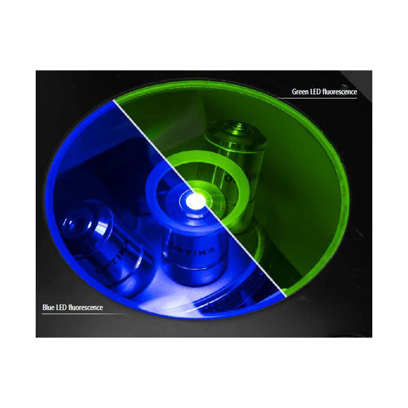 Optika Microscope IM-3FL4-EUIV, trino, invers, FL-HBO, Filtre B&G, IOS LWD U-PLAN F, 100x-400x, EU, IVD
